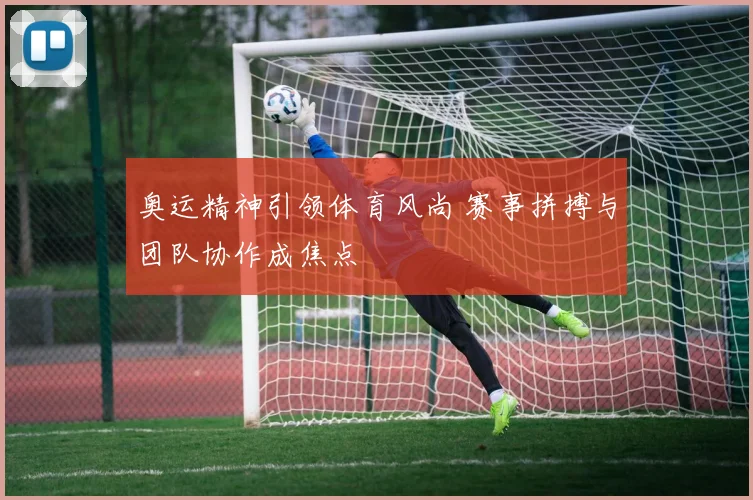 奥运精神引领体育风尚 赛事拼搏与团队协作成焦点